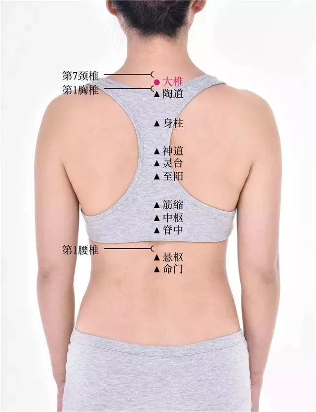 三伏贴具体操作（三伏贴全攻略）(2)