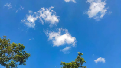 ​附子理中丸功效（脾胃虚寒的人要知道）