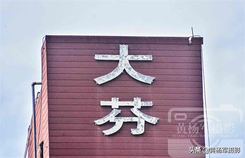 广东深圳大芬油画村，艺术气息浓郁全国最大的油画生产地，看啥样