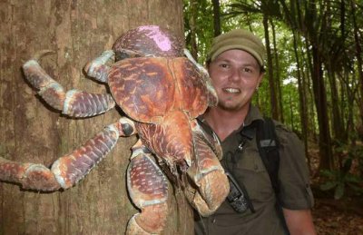 ​世界上最可怕的动物（全球最吓人的动物是什么）