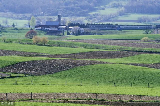 初学唱歌要学习哪些方法（学唱歌如何循序渐进）(6)