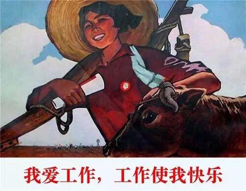 元宵节可以纳入法定假日吗（元宵节为什么不是法定假日）(3)