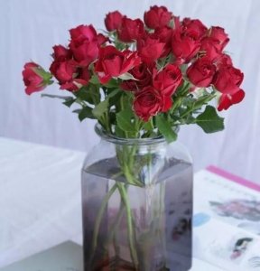 ​玫瑰花怎么保鲜,怎样才能让玫瑰花保持长久的新鲜感
