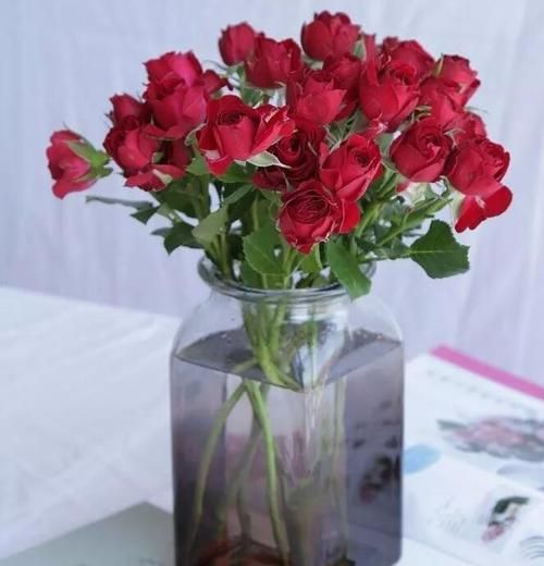 怎样才能让玫瑰花保持长久的新鲜感