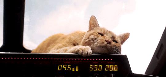 《惊奇队长》：片头logo最感人，片尾彩蛋最好看