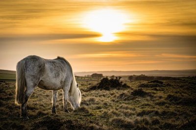 ​汉末三国时期的公孙姓人物你了解多少？