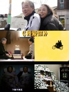 ​爱情电影推荐一下(8部爱情电影，委屈了可以看看)