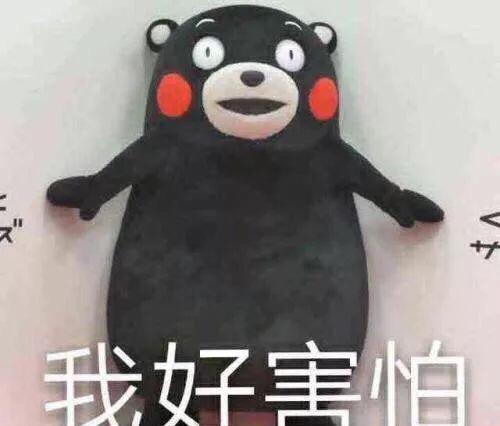 猫咪肚子胀大？好吓人！是传腹吗？如何排查？