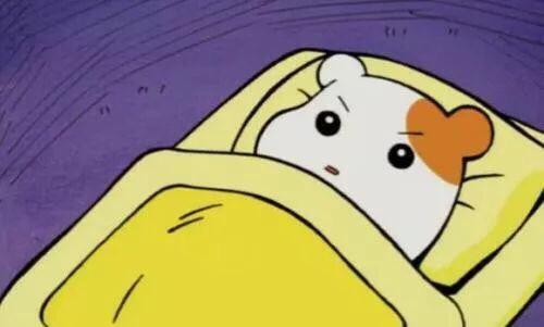 猫咪肚子胀大？好吓人！是传腹吗？如何排查？