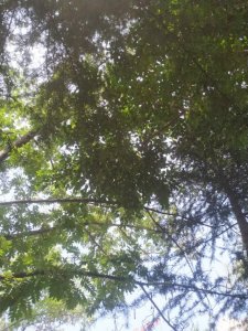 ​世界上最长的公园，洛阳的地标，洛浦公园