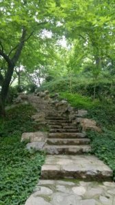 ​鍗椾含娓呭噳灞辩伀钁満(鍗椾含娓呭噳灞变綋鏍?