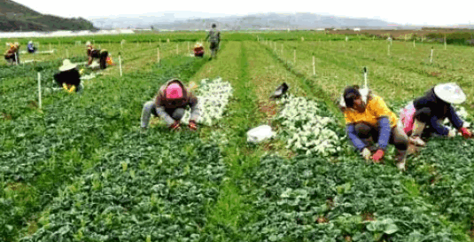 五地一产指什么意思,一产二产三产分别包括什么行业图4