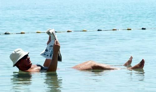死海位于哪个大洲