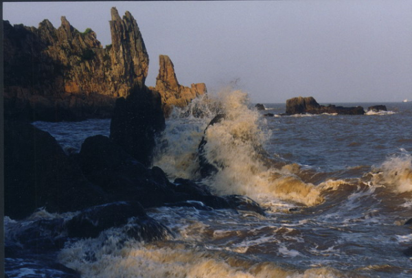 珊瑚礁主要有几种,珊瑚礁主要有几种类型图2