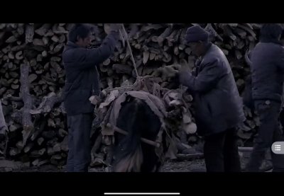 ​再看电影《冈仁波齐》谈信仰的力量和温度