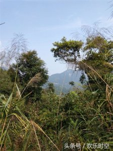 ​传说中的“仙姑鞋”历史悠久的山名，绝！