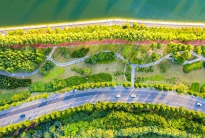 ​揭秘绿化带：为何在我国随处可见，在西方却罕见？