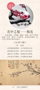 ​中国传统十大名花图文并茂版，每种花不但有诗，还有画！|典藏