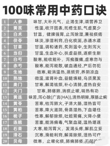 ​揭秘100味中药精髓，口诀速记大补元气！