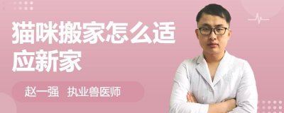 ​猫咪到新家需要注意什么？