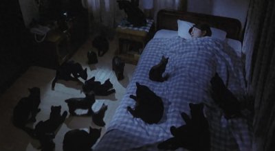 “世界十大凶宅”之首——纽约长岛海洋大道112号