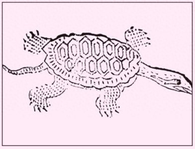 ​《山海经》图文解析（3）