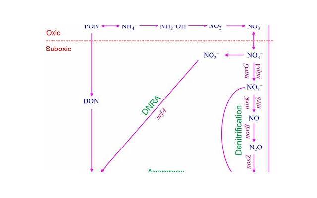 2003属羊几岁遇真爱