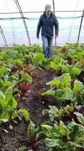 ​资讯有故事丨澳大利亚友人熊凯：我在天津当农民