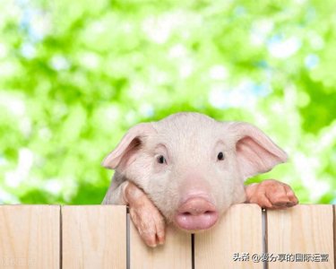 ​每日睡前胎教故事+唐诗三百首大全免费阅读之283