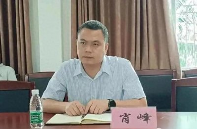 ​海南陵水肖峰事件始末，不简单，涉及问题太多，比电视剧还离谱