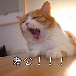 ​「情侣头像」一组不正经的情侣头像来袭