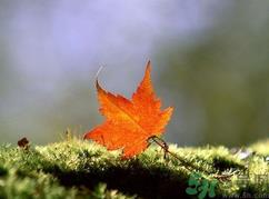  为什么立秋了还这么热？立秋后要多久才能凉快？