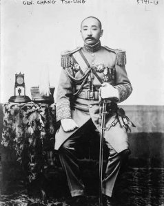 ​拍张作霖的电视剧有啥