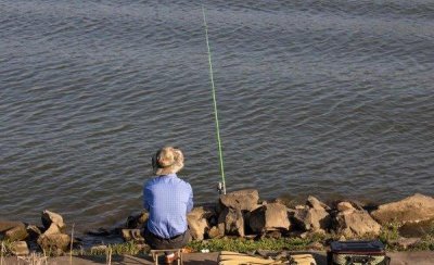 ​白条鱼能长多大 白条鱼是什么鱼类品种长什么样子