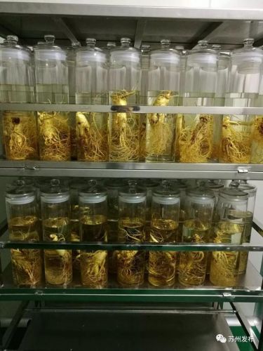 苏州中医院网上挂号几点开始(苏州中医院网上挂号app)-第2张图片-