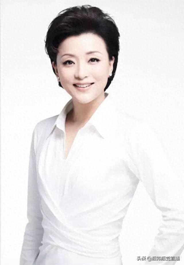 杨澜最美的10张照片欣赏，优雅知性美而不妖