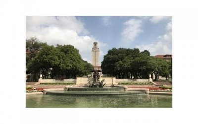 ​冬天，少吃苹果多吃它，上锅煮一煮，营养互补，不妨一试