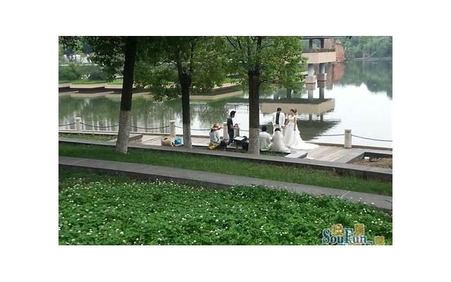 网络暴力事例,真实事件