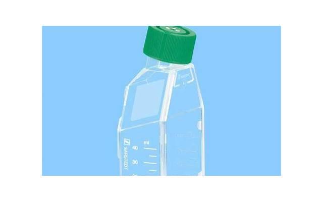 初恋锁骨发，吴昕的初恋头比辛芷蕾锁骨发高级多了