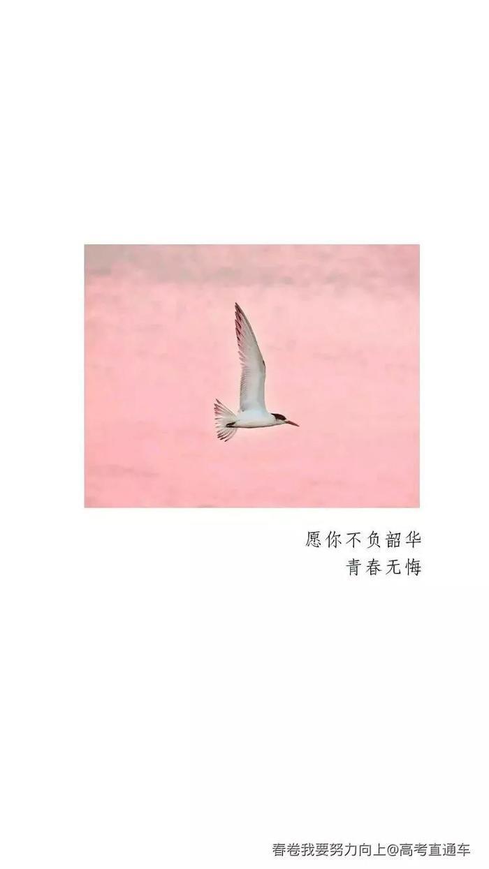 高考生,你凭什么不努力又想要高分?丨励志美图