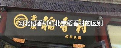 ​河北稻香村和北京稻香