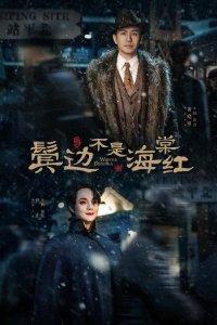 ​鬓边不是海棠红最后结局是什么（最后结局讲解）