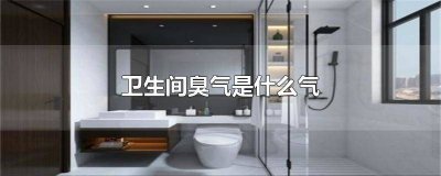 ​卫生间臭气是什么气味啊 卫生间臭气是什么气味儿