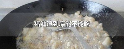 ​猪油渣能吃吗? 猪油渣到底能不能吃