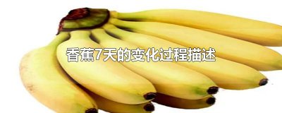 ​香蕉7天的变化过程描述