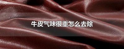 ​牛皮气味很重怎么去除