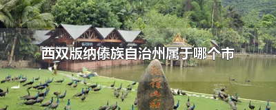 ​西双版纳傣族自治州属于哪个市