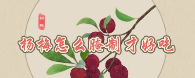 ​杨梅怎么腌制才好吃