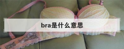 ​bra是啥意思呀（网络bra什么意思）