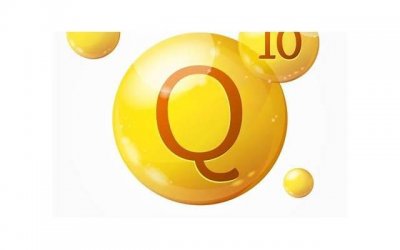 ​《高雅的环境描写》精选10条